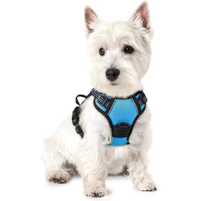 rabbitgoo Hundegeschirr XS Hellblau - Anti-Zug Brustgeschirr mit Kontrolle