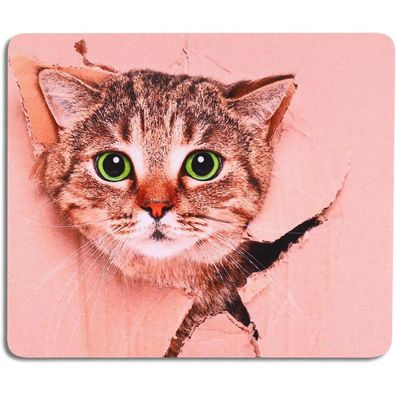Aoksunova Mauspad Katze Lustig Gaming 240 x 200 mm mit rutschfester Unterseite