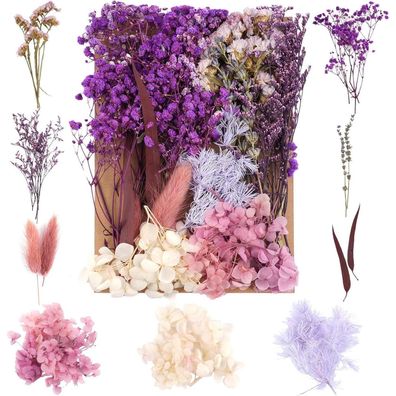 Weysoo Trockenblumen Set Violett - Natürliche Gemischte Getrocknete Blumen für