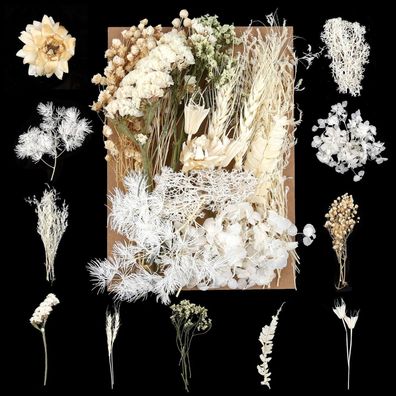 Weysoo Trockenblumen Set Hellbeige - Natürliche Gemischte Getrocknete Blumen