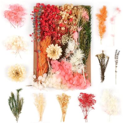Weysoo Trockenblumen, Natürliche Gemischte Getrocknete Blumen für DIY