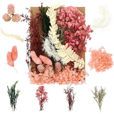 Weysoo Trockenblumen Set Rosa-Grün - Natürliche Gemischte Getrocknete Blumen