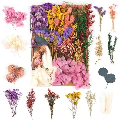 Weysoo Trockenblumen Set Lila - Natürliche Gemischte Getrocknete Blumen für