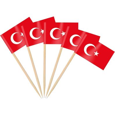 AhfuLife 100 Stück Türkische Zahnstocher Flaggen für Cocktails, Cupcakes und