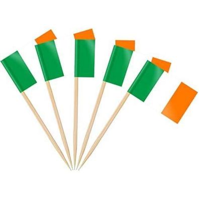 AhfuLife 100 Stück Irland Zahnstocher Flaggen - Mini Irische Fähnchen für