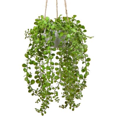 Briful Künstliche Hängepflanze Ficus Pumila, Zimmer Wand Deko Aesthetic