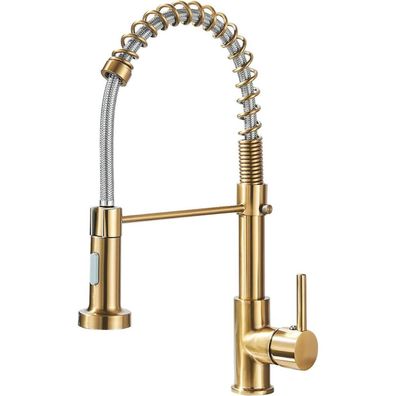 Hbronzeshower Küchenarmatur mit ausziehbarer Brause, gebürstetes Gold, 360°