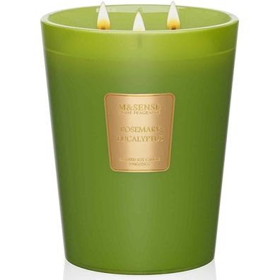 M&SENSE Rosmarin Eukalyptus Duftkerze im Glas, 990g, 150h Brenndauer, 3-Docht