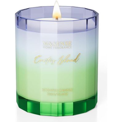 M&SENSE Duftkerze Kaktus Insel im Glas | 300g | 60h Brenndauer | Sojawachskerze