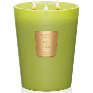 M&SENSE Basilikum-Ingwer Duftkerze XL, 990g, 3 Dochte, 150h Brenndauer