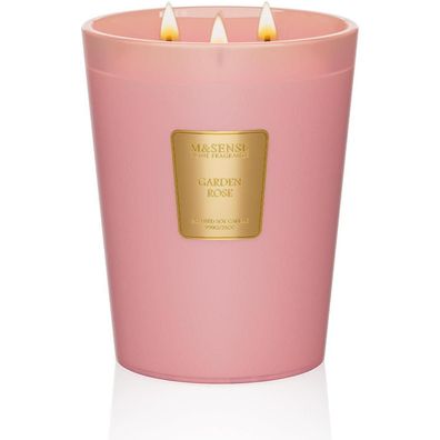 M&SENSE Duftkerze im Glas groß Rose, 990g, 150 Std. Brenndauer, 3 Dochte