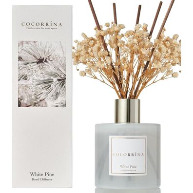Cocorrína Raumduft Reed Diffuser 200ml - Weiße Kiefer, Langanhaltender Duft für