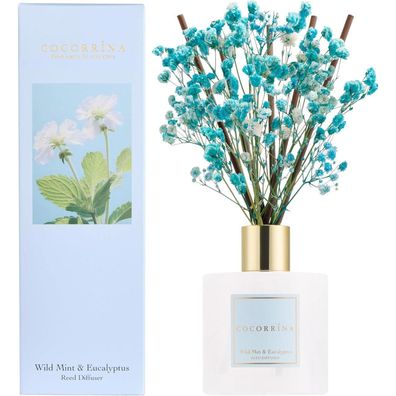 Cocorrína Raumduft Reed Diffuser 200ml, Wild Mint & Eucalyptus
