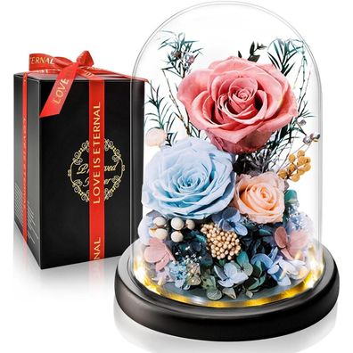 Touloube Ewige Rosa Rose im Glas mit LED-Beleuchtung - Romantisches Geschenk