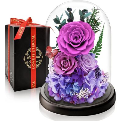 Touloube Ewige Lila Rose im Glas mit LED-Beleuchtung - Romantisches Geschenk