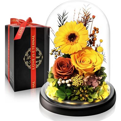 Touloube Ewige Rose & Gerbera im Glas mit LED - Romantisches Blumen-Geschenkset