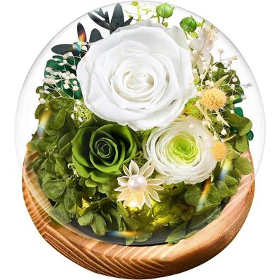 Touloube Ewige Infinity Weiß Rosen im Glas mit Licht | Konservierte Blumen als