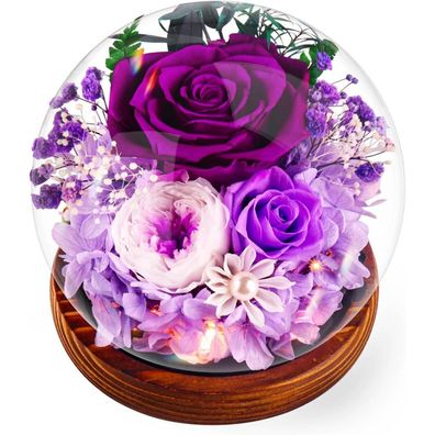 Touloube Ewige Rose Lila, Konservierte Infinity Rose mit Licht, Geschenkset für