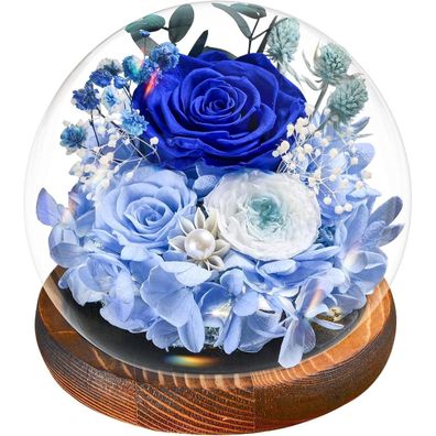 Touloube Ewige Infinity Blaue Rosen im Glas mit Licht - Konservierte Blumen als