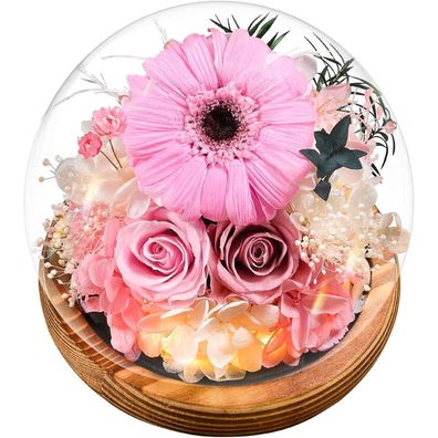 Touloube Ewige Gerbera & Rosen im Glas mit Licht | Konservierte Blumen Geschenk