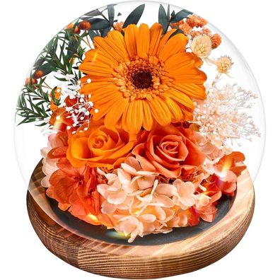 Ewige Gerbera und Rosen im Glas mit Licht - Konservierte Blumen als Geschenk