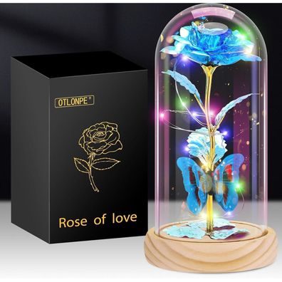 Otlonpe Ewige Rose im Glas mit LED-Licht - Geschenk für Frauen, Mama, Freundin