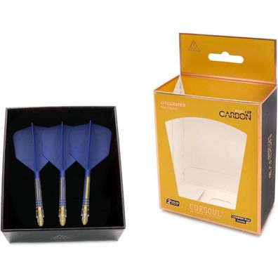 Cuesoul ROST T19 Carbon Integrierter Dartschaft & Flight Big Wing-Form