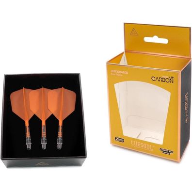 Cuesoul ROST T19 Carbon Integrierter Dartschaft und Flight, Big Wing-Form