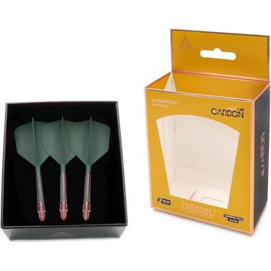 Cuesoul ROST T19 Carbon Integrierter Dartschaft und Flight, Big Wing-Form