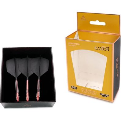 Cuesoul ROST T19 Carbon Integrierter Dartschaft und Flight, Big Wing-Form