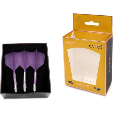 Cuesoul ROST T19 Carbon Integrierter Dartschaft & Flight, Big Wing-Form