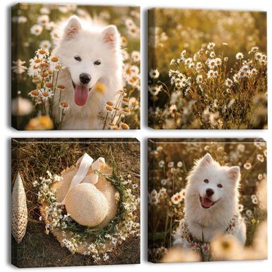 Artscope 4-teiliges Leinwandbild Hund und Blumen, moderner Kunstdruck für