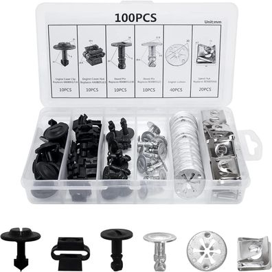 JatilEr 100 Stück Auto Befestigungsclips Set, 6 Arten Nylon Stoßstange
