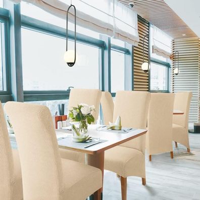 BalladHome Stuhlhussen 6 Stück XL Beige - Elegante Stretchhusse für