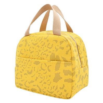Nanxson Lunchtasche 6L Mini Kühltasche Isoliert für Arbeit, Schule, Picknick