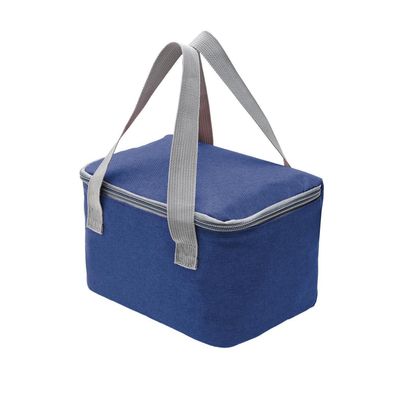 Nanxson Kühltasche Klein 4L Mini Lunchtasche mit Isolierung, Thermotasche für