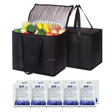 Fzsecriu 2 Stück Kühltaschen 20L, faltbar, mit 10 Ice Bags, ideal für Camping