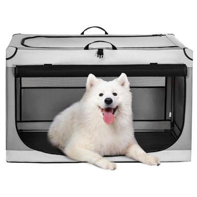 Petsfit Faltbare Hundebox für Zuhause & Auto, Transportbox mit Netzfenstern und