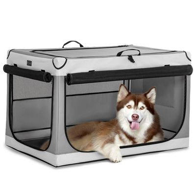 Petsfit Faltbare Hundebox für Zuhause & Auto, Transportbox mit Netzfenstern und