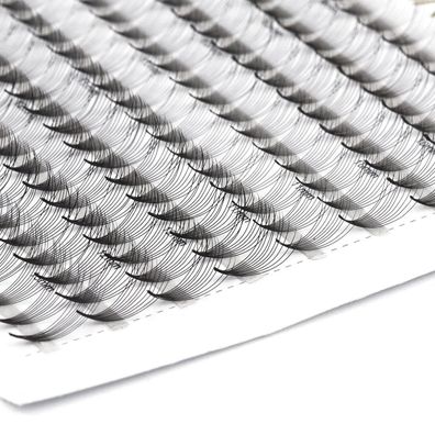 EMEDA 10D Volumenwimpern D Curl, 0,07 mm, vorgefertigte Wimpernfächer, 9 Linien