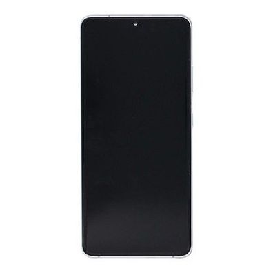 Samsung Original Display Galaxy S21 5G Ultra G998B mit Rahmen Phantom Silver