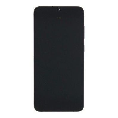 Samsung Original Service Pack Display Galaxy S24 Plus S926B mit Rahmen Schwarz