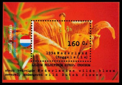 Niederlande Block 40 postfrisch S00780E