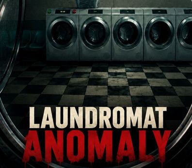 Laundromat Anomaly – Steam Key (Aktivierungscode)