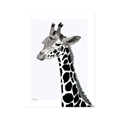 Lilipinso Poster Giraffe schwarz weiss