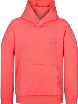 Naketano Hoodie Theo's Lieblingspulli 2400-0002
