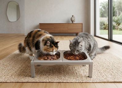 Futterbar, Fressnapf, Katzen, Hunde, Futterstation, Doppelnapf, Futterstation, Napf