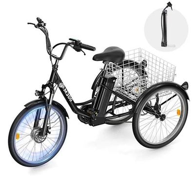 E-Bike Cityrad Damen u. Herren Elektro-Dreirad 24 Zoll 250W 540Wh 100km 3-Rad Pedelec