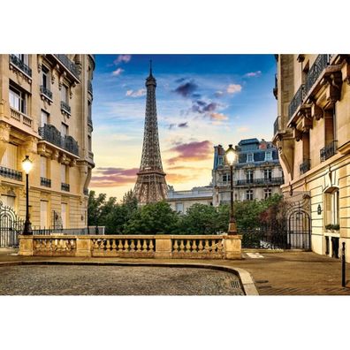 Castorland Puzzle Spaziergang durch Paris bei Sonnenuntergang 1000 Teile
