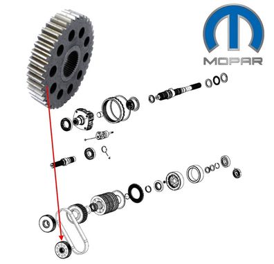 Zahnrad (Verteilergetriebe BW44-44) RAM 1500 Bj:18-25 (Gen.4 & Gen.5)
